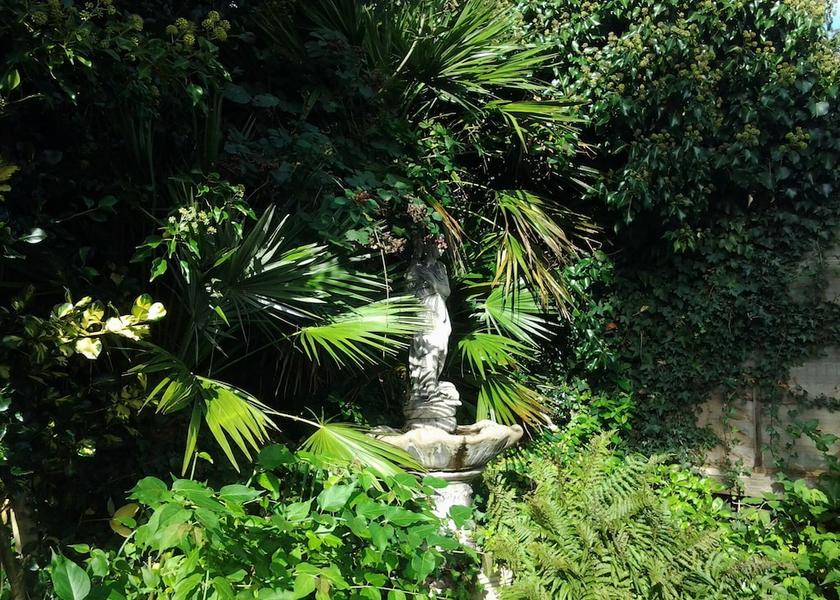 England Ilfracombe Garden