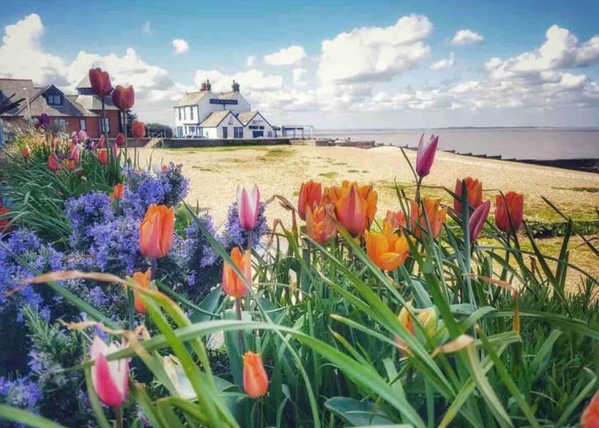 England Whitstable Property Grounds
