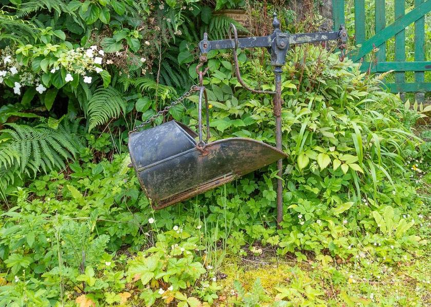 Scotland Rothesay Garden