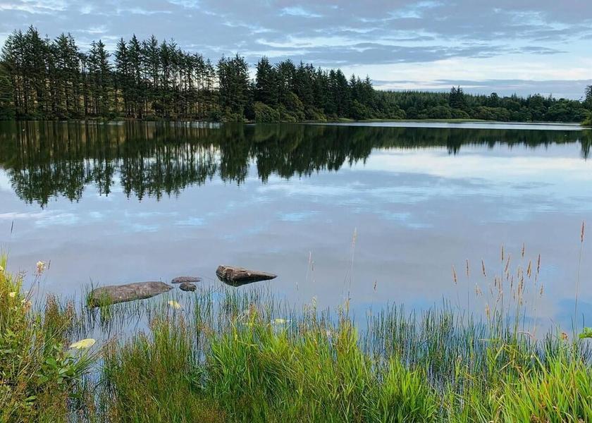 Scotland Newton Stewart Exterior Detail