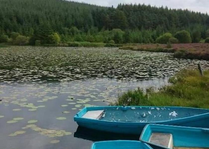 Scotland Newton Stewart Exterior Detail