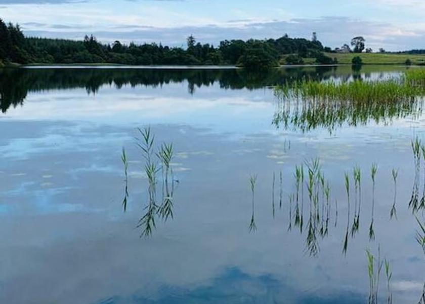 Scotland Newton Stewart Garden