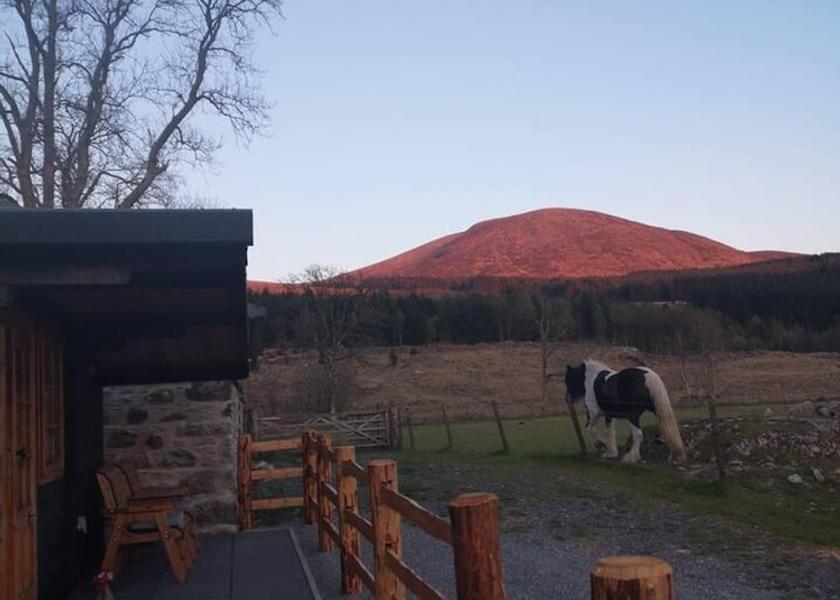 Scotland Newton Stewart Garden