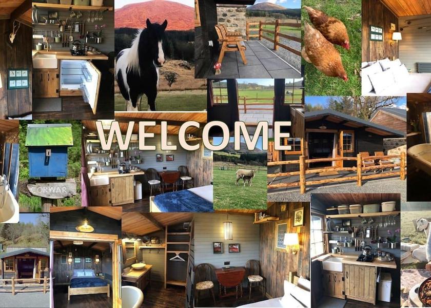 Scotland Newton Stewart Amenity