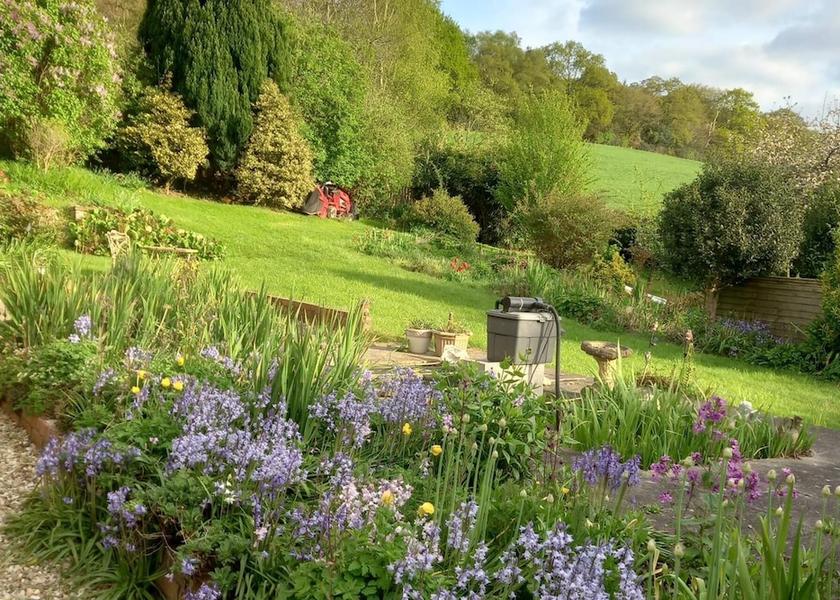 England Axminster Property Grounds