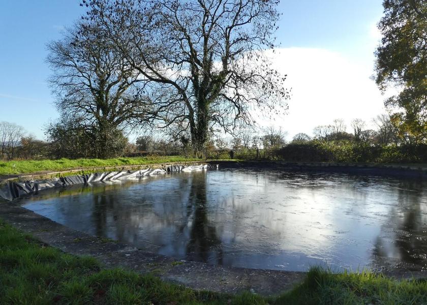 England Axminster Property Grounds