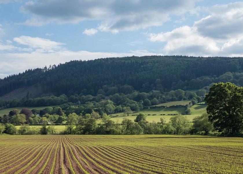 Wales Abergavenny Exterior Detail