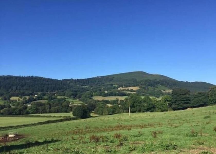 Wales Abergavenny Property Grounds