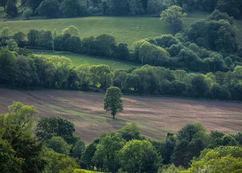 Wales Abergavenny Exterior Detail