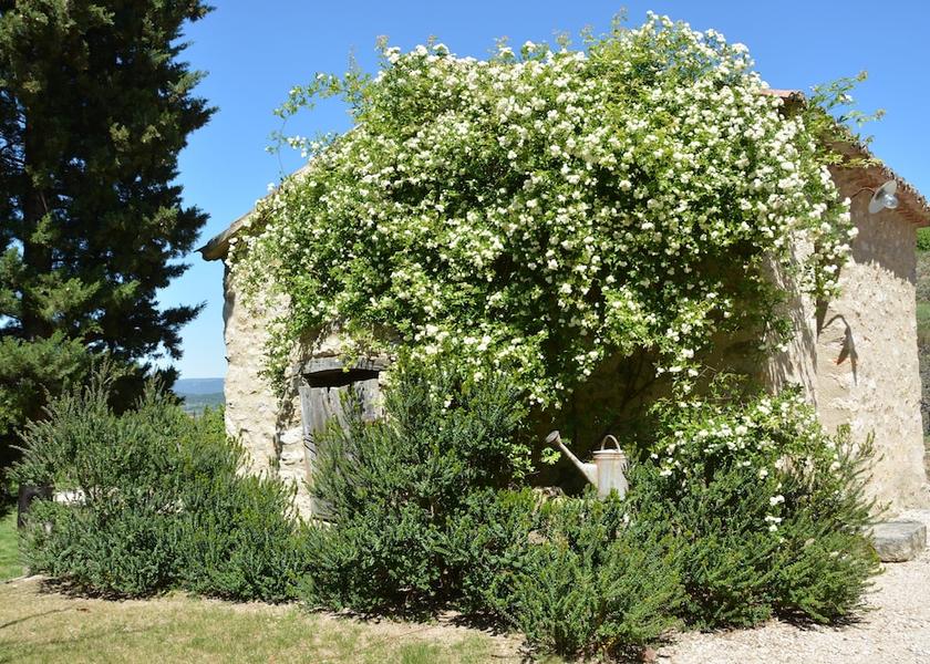 Provence-Alpes-Côte d'Azur Bonnieux Exterior Detail
