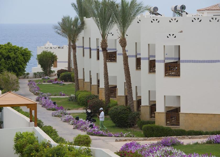 South Sinai Governorate Sharm El Sheikh Garden