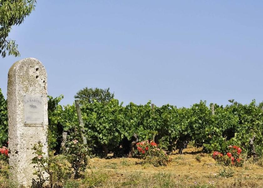 Occitanie Saint-Laurent-De-La-Cabrerisse Garden