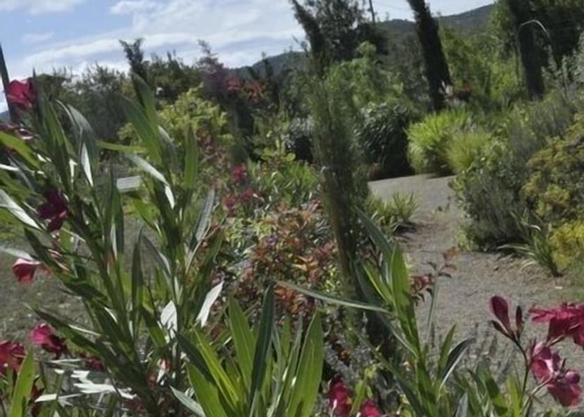 Occitanie Saint-Laurent-De-La-Cabrerisse Garden