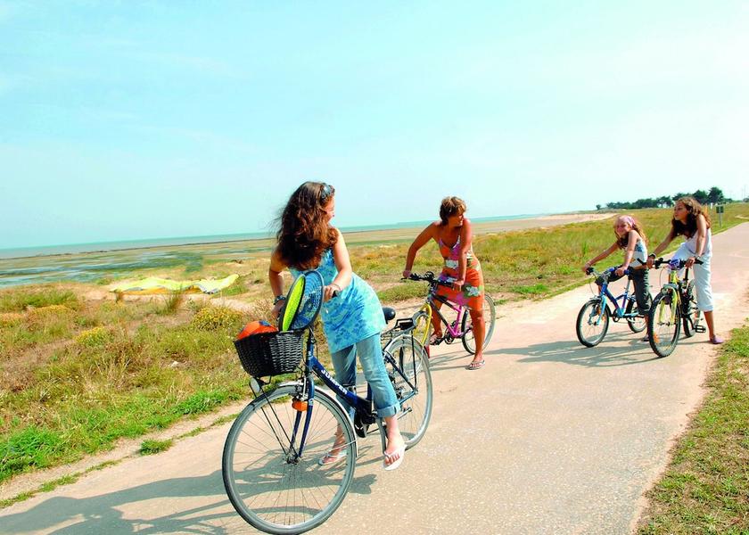 Nouvelle-Aquitaine Ars-en-Re Bicycling