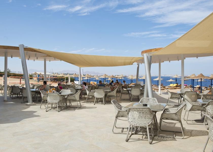 South Sinai Governorate Sharm El Sheikh Beach bar