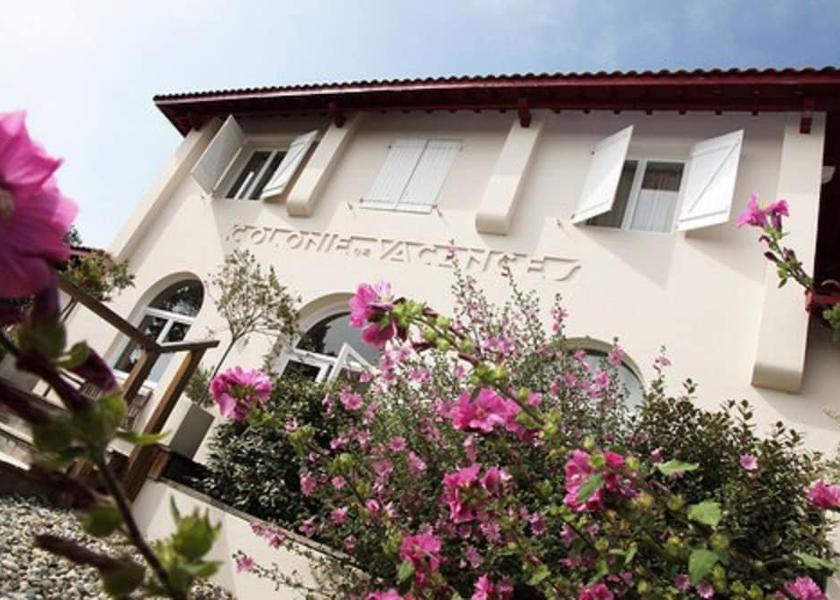 Nouvelle-Aquitaine Messanges Exterior Detail