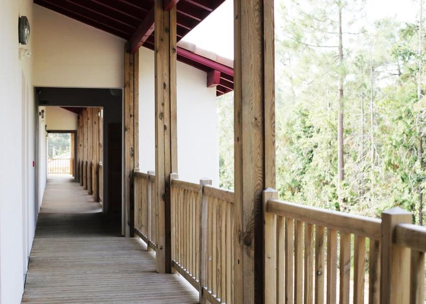 Nouvelle-Aquitaine Messanges Terrace