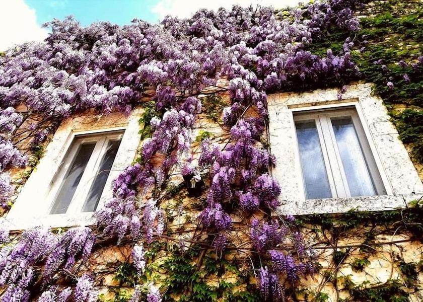 Puglia Conversano Exterior Detail