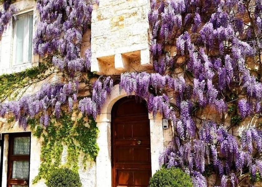 Puglia Conversano Exterior Detail