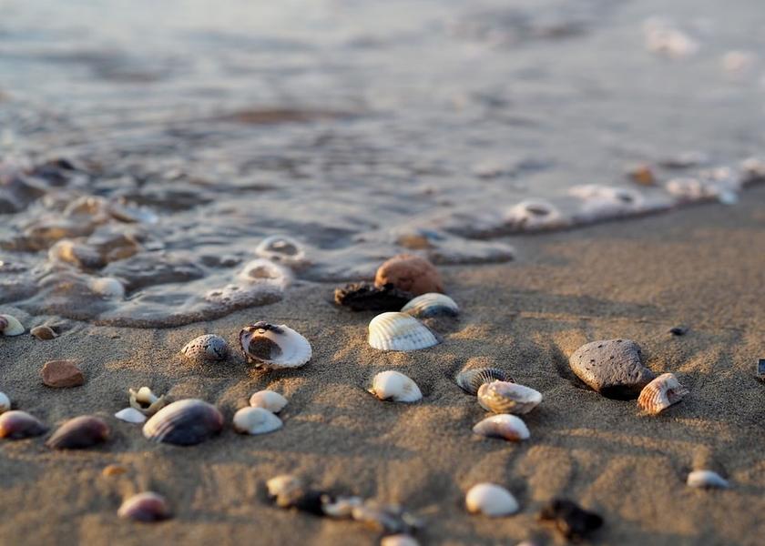 Veneto Caorle Dining Area