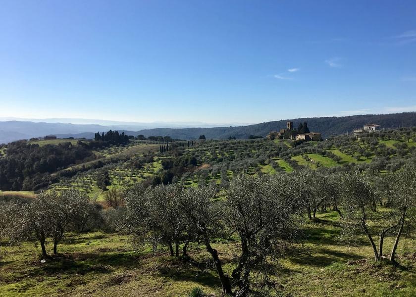 Land View from Property