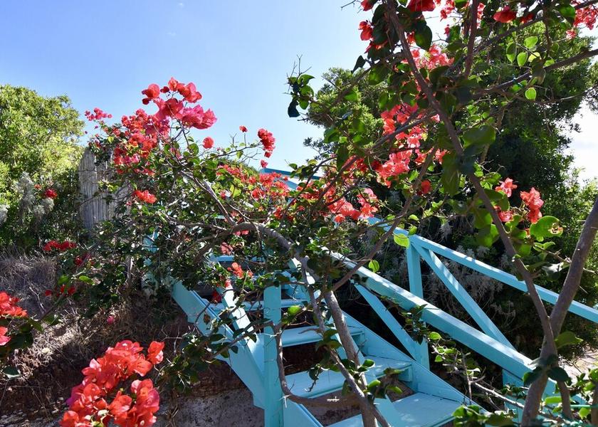 Sardinia Carloforte Garden