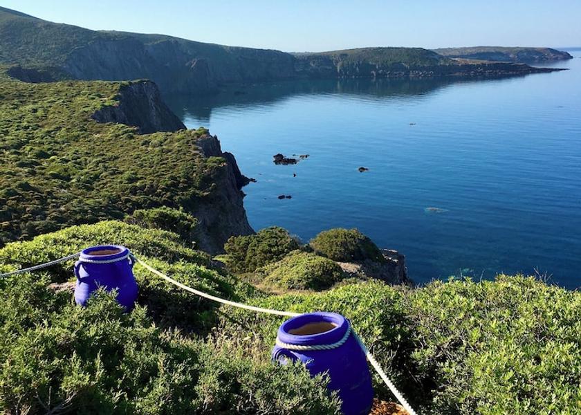 Sardinia Carloforte Garden