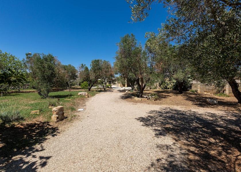Puglia Gagliano del Capo Land View from Property