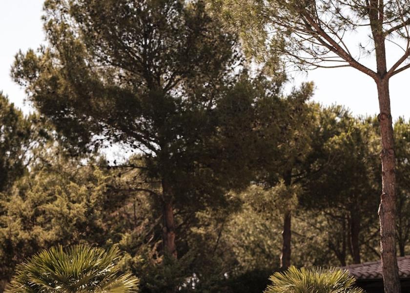 Sardinia Narbolia Pool