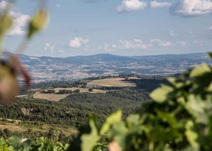 Tuscany Civitella Paganico Aerial View