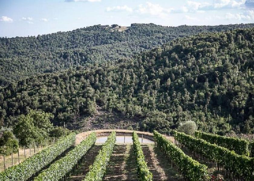 Tuscany Civitella Paganico Property Grounds