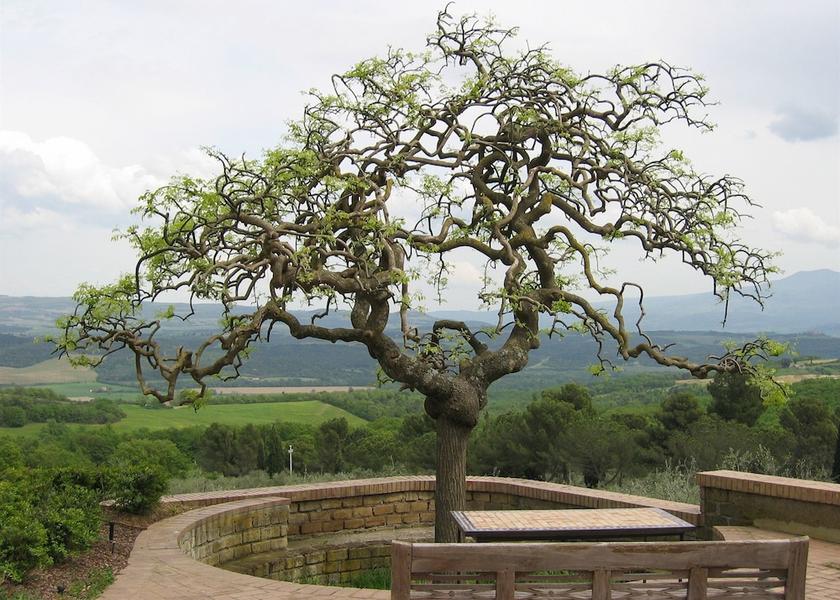 Tuscany Civitella Paganico View from Property