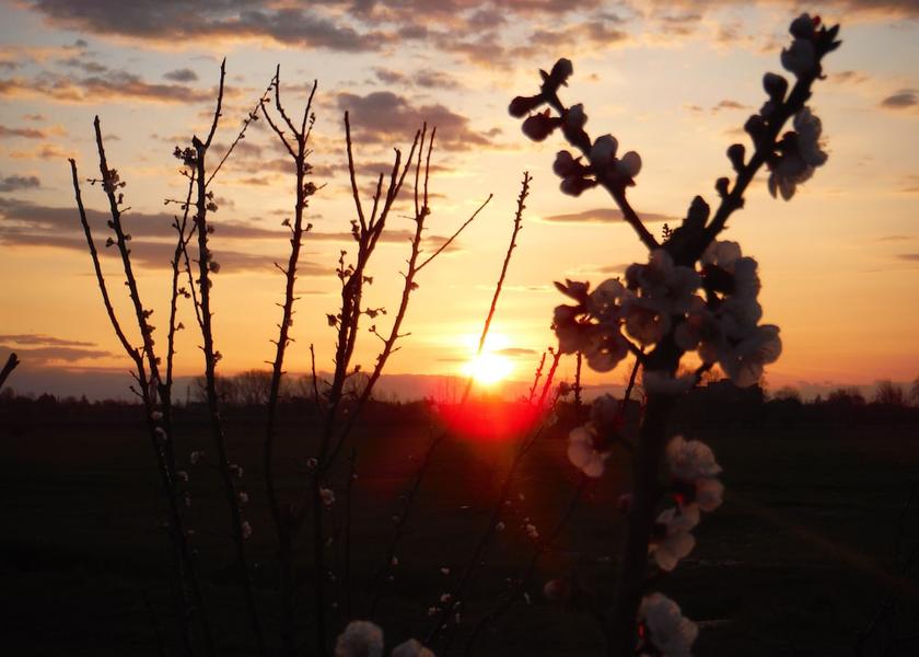 Friuli-Venezia Giulia San Vito al Tagliamento Porch