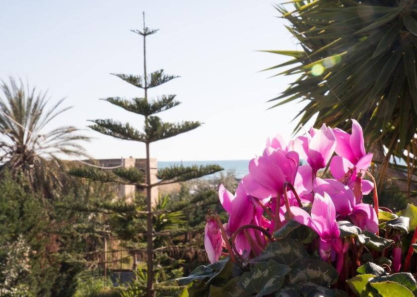 Sicily Licata View from Property