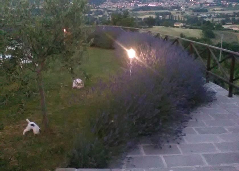 Umbria Gualdo Tadino Exterior Detail