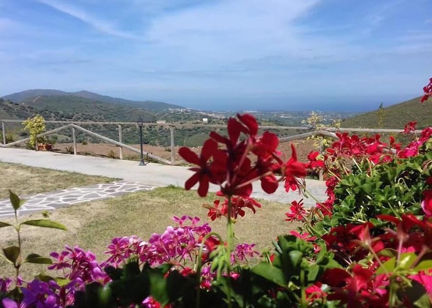 Sardinia Budoni Garden