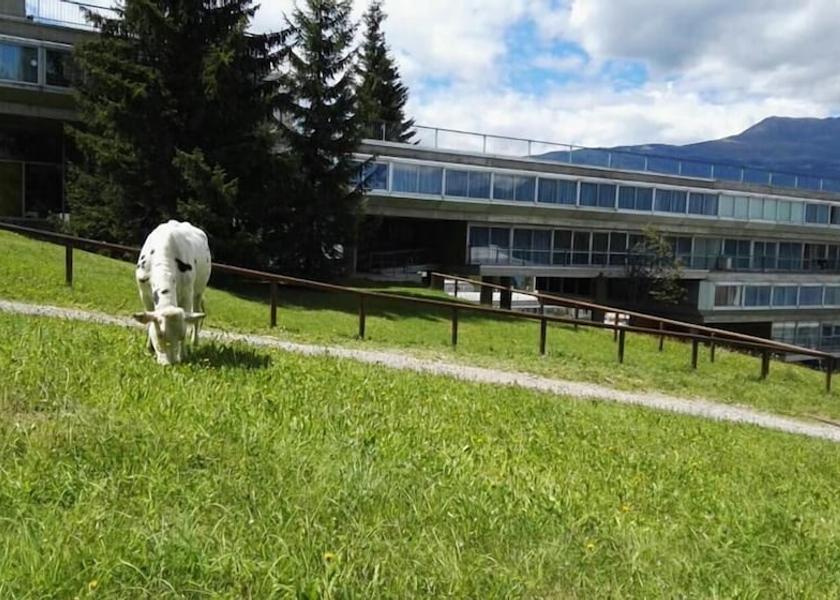 Trentino-Alto Adige Mezzana Exterior Detail
