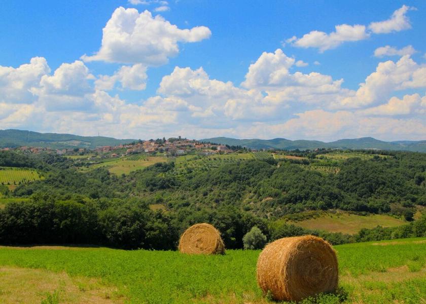 Umbria San Venanzo View from Property