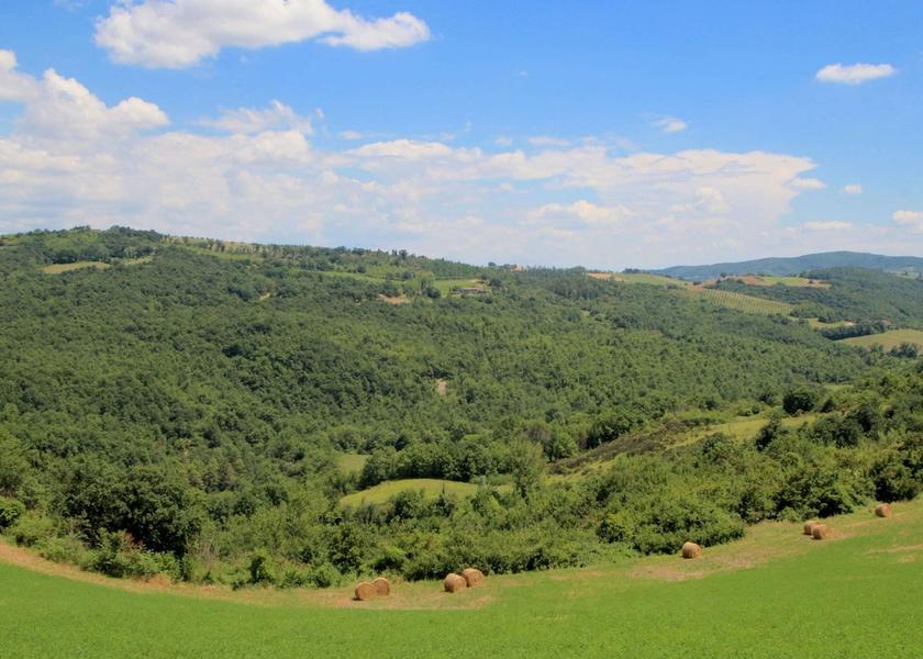 Umbria San Venanzo View from Property