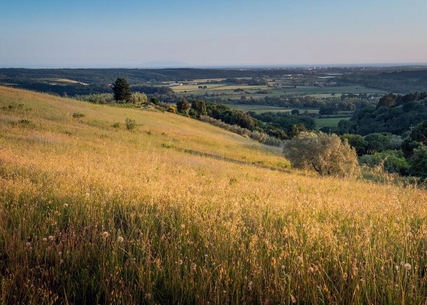 Tuscany Riparbella Property Grounds