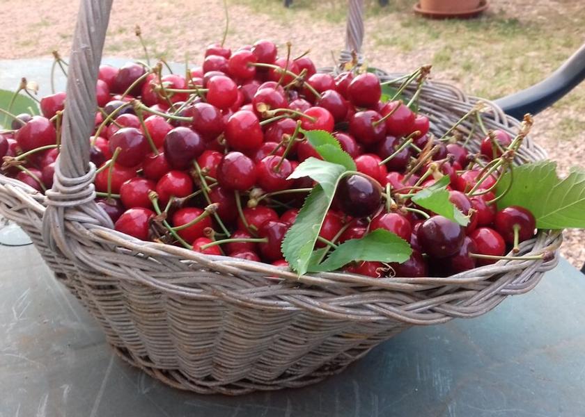 Tuscany Sovicille Dining Area