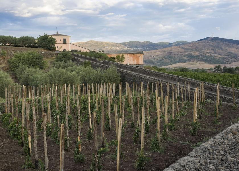 Sicily Castiglione Di Sicilia Winery