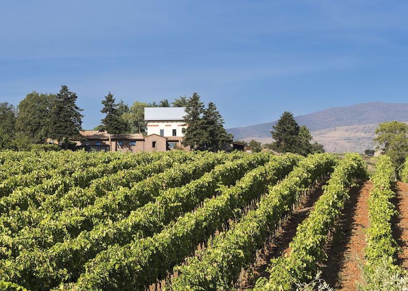 Sicily Castiglione Di Sicilia Winery