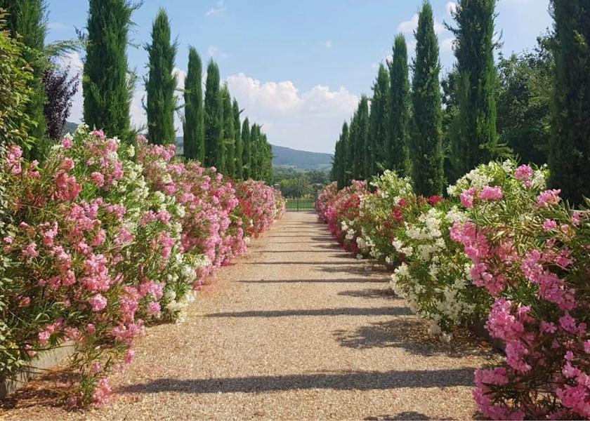 Tuscany Castiglion Fiorentino Entrance