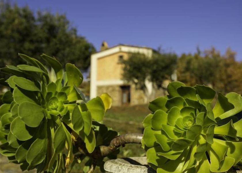 Calabria Castrovillari Exterior Detail