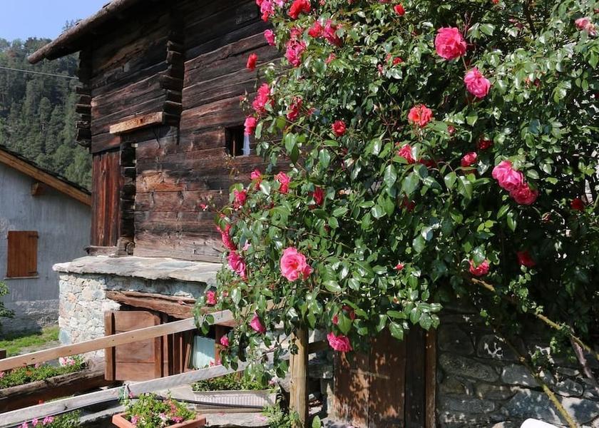 Valle d'Aosta Torgnon Garden