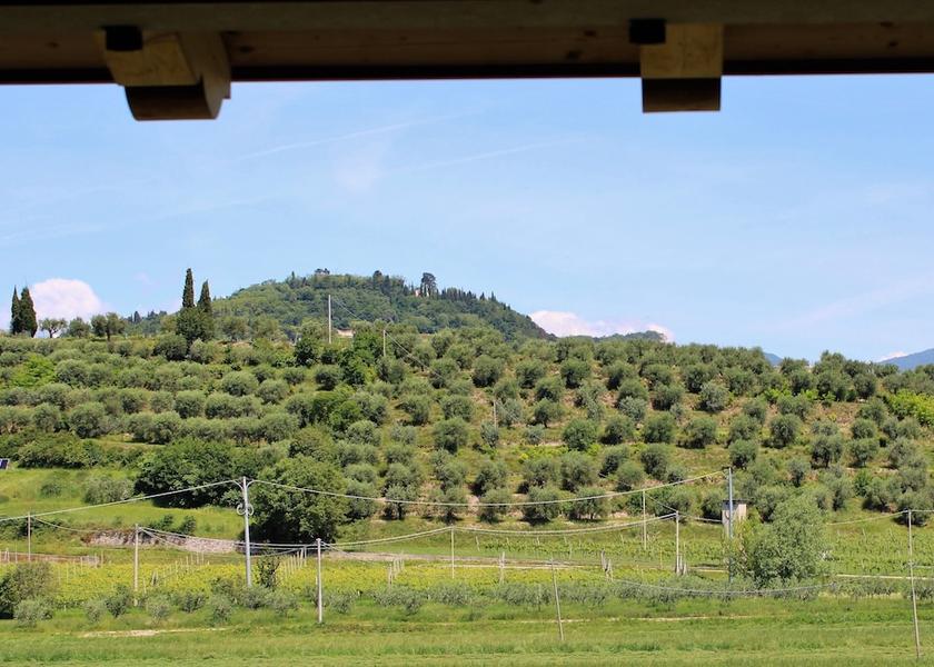 Veneto Cavaion Veronese Mountain View