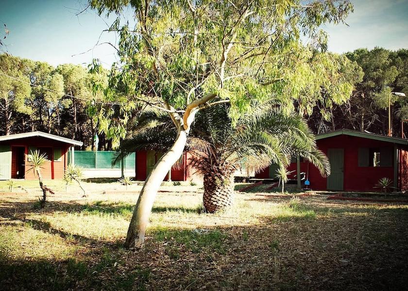 Puglia Palagiano Property Grounds