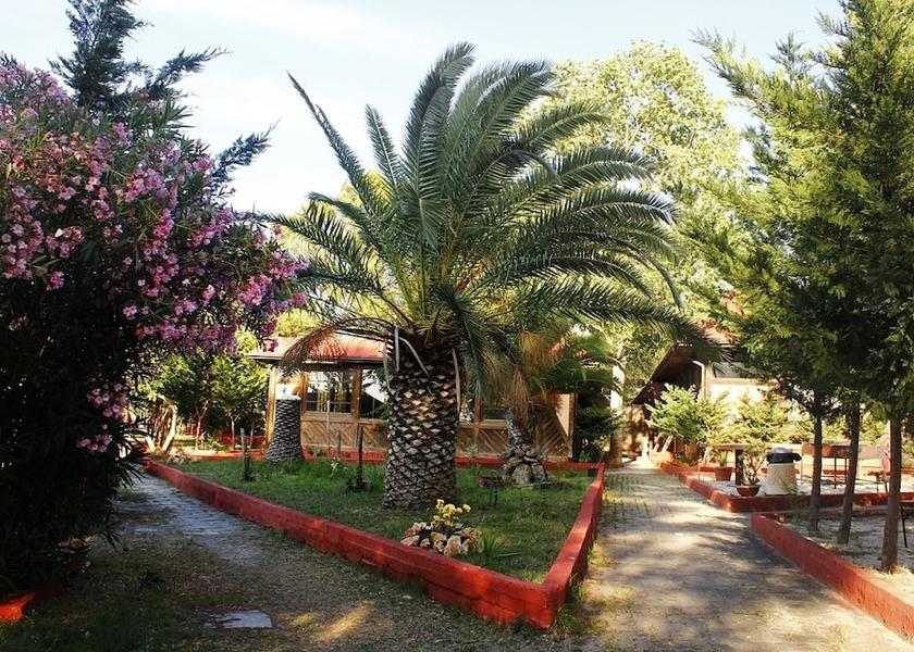 Puglia Palagiano Garden