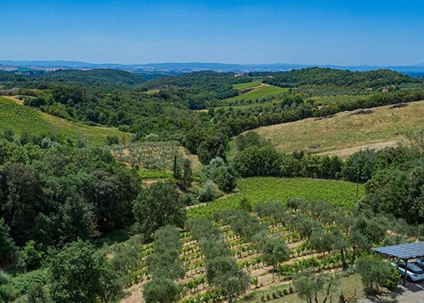 Tuscany Castelnuovo Berardenga Room